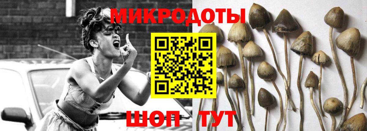 Самара  Галлюциногенные грибы GOLDEN TEACHER  Вход с VPN 